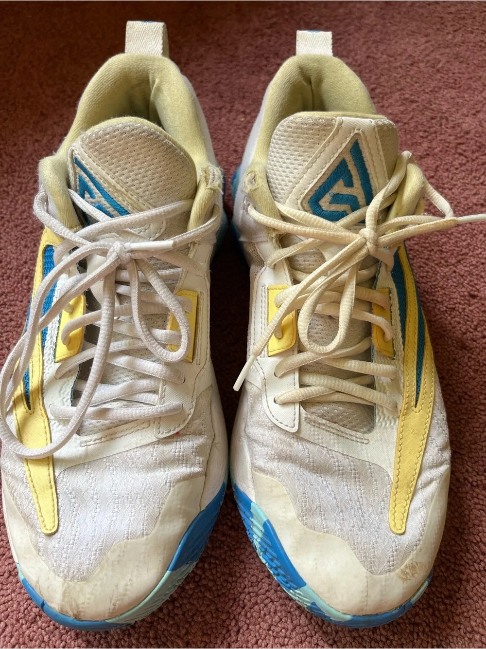 Nike Giannis Immortality Volleyball/Basketball shoes.Some small rips and stains.